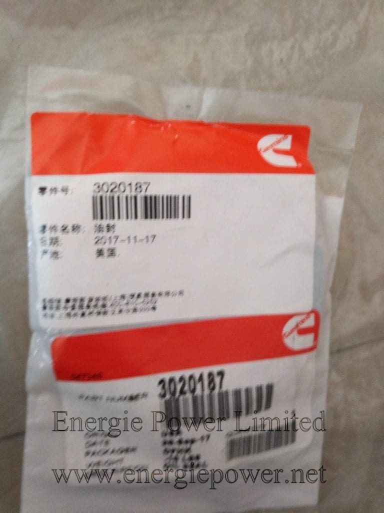 Oil Seal 3020187