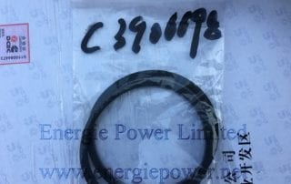 Rectangular Ring Seal 3906698