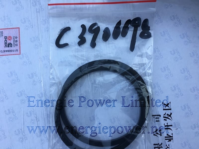 Rectangular Ring Seal 3906698