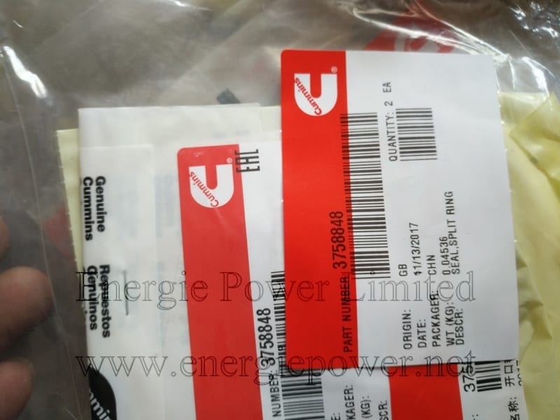 Split Ring Seal 3758848