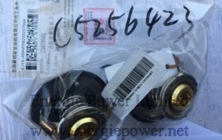 Thermostat 5256423
