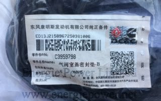 Valve Cover Gasket 3959798