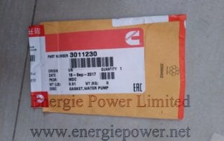 Water Pump Gasket 3011230