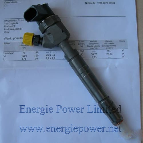 Bosch Injector 0445110105