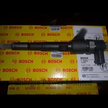 Bosch Injector 0445110291
