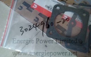 Connection Gasket 3024960