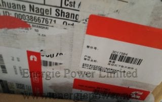 Set, Lower Engine Gasket 3017564