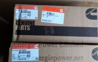 Wiring Harness 3913600