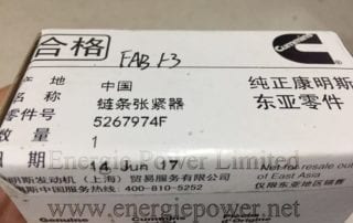 Chain Tensioner 5267974