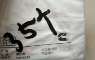 Expansion Plug 3007632