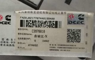 Main Bearing 3978818